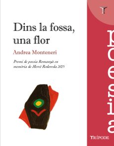 Portada llibre premi de poesia novell Romanya Rodoreda: Dins la fosa, una flor, d'Andrea Monteneri.