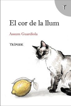 El cor de la llum, d'Assum Guardiola