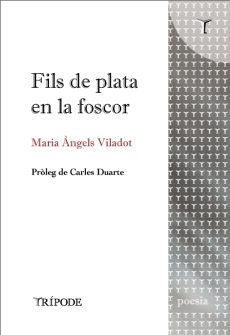 Fils de plata en la foscor, de Maria Àngels Viladot
