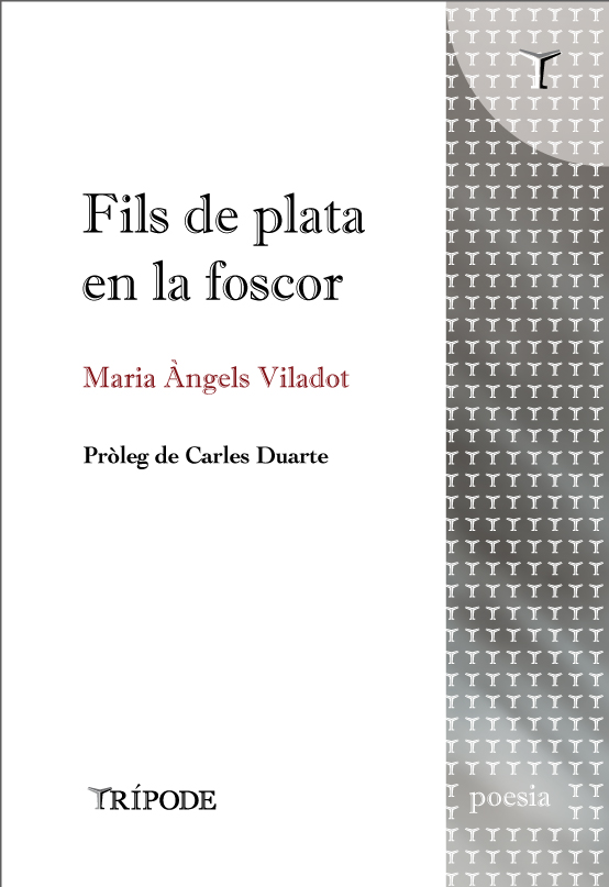 Fils de plata en la foscor, de Maria Àngels Viladot